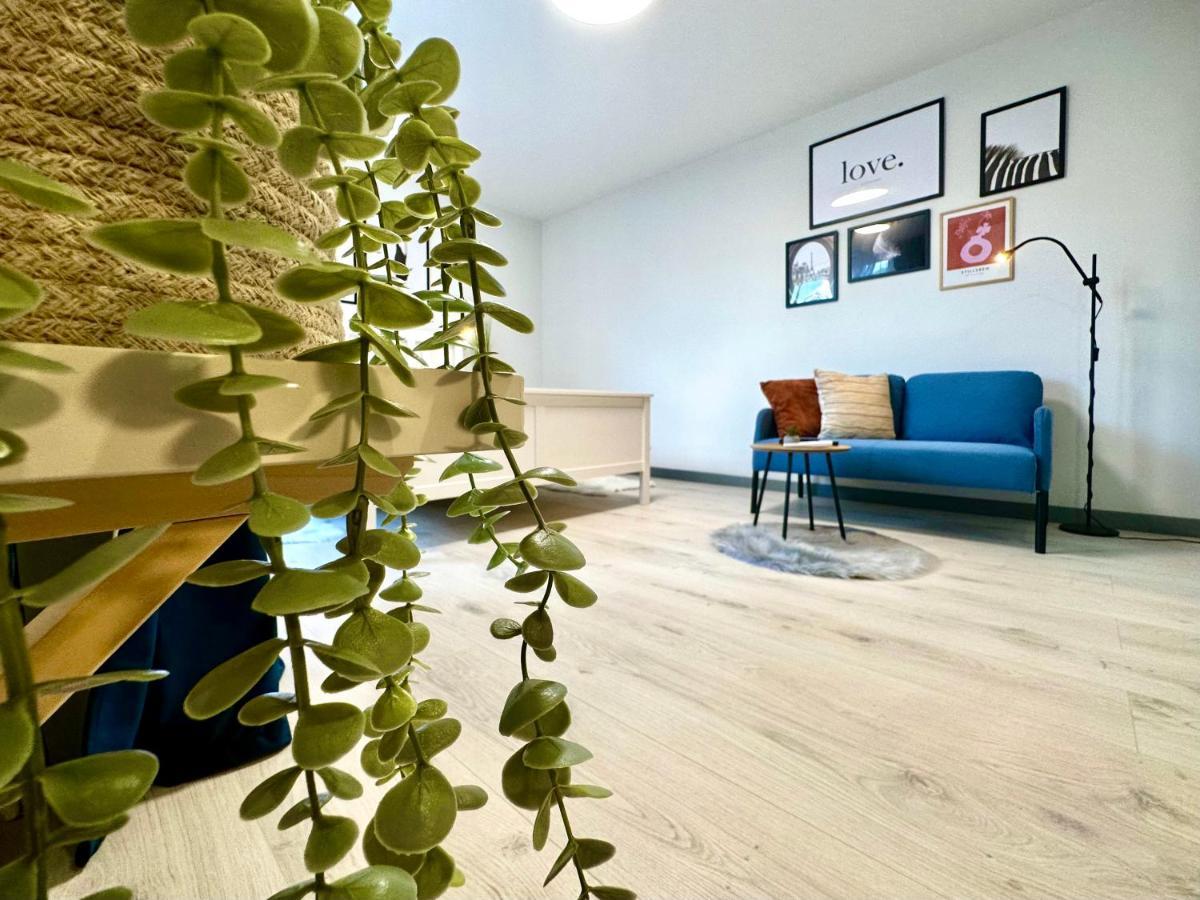 Chic Studio Timisoara Exterior photo